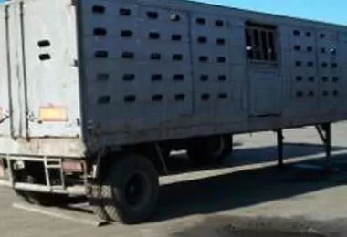 Полуприцепы для перевозки животных любых марок